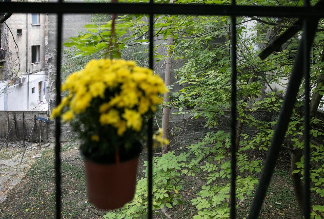 Natalie'S Place Belgrade Extérieur photo